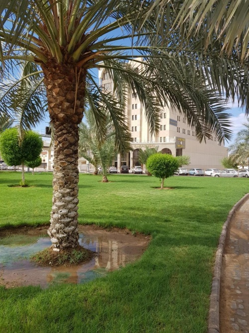 Ewan Dar Alhejra Hotel image 14